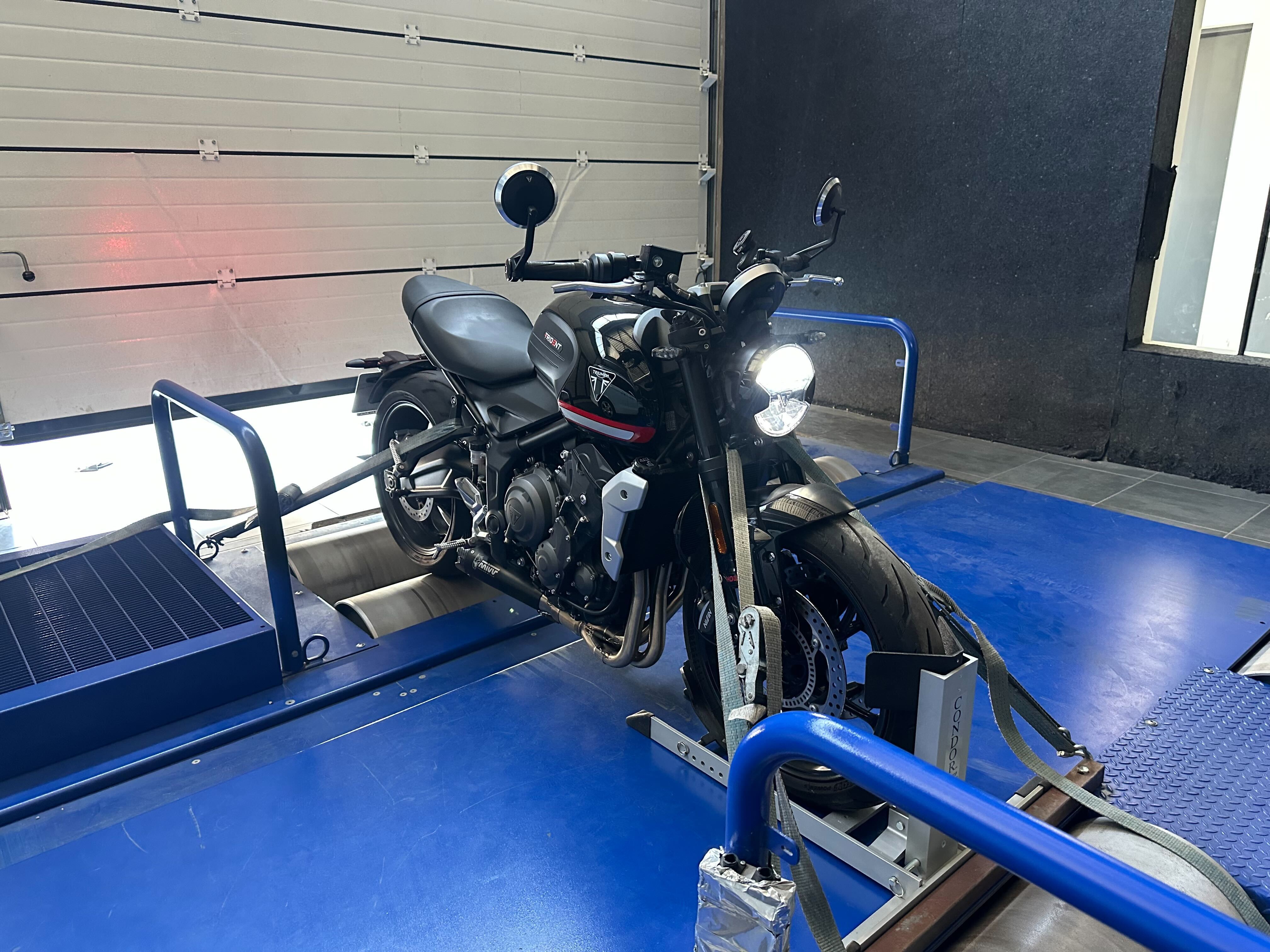 stage 11